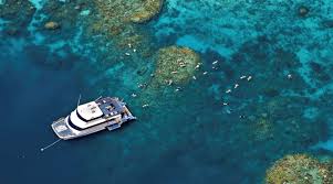 Snorkelling the outer reef